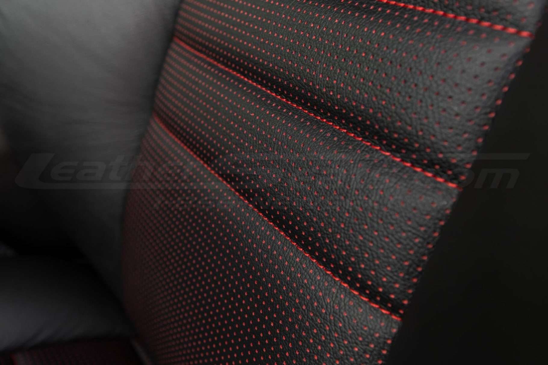 Perforation Close-up