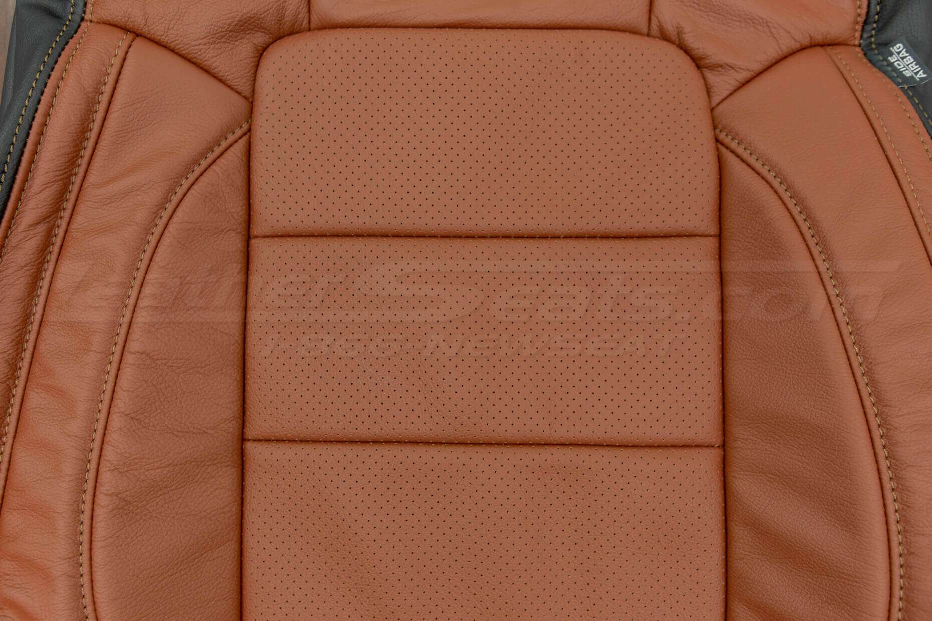 Ford Mustang upholstery kit -Mitt Brown - Front backrest perforated insert
