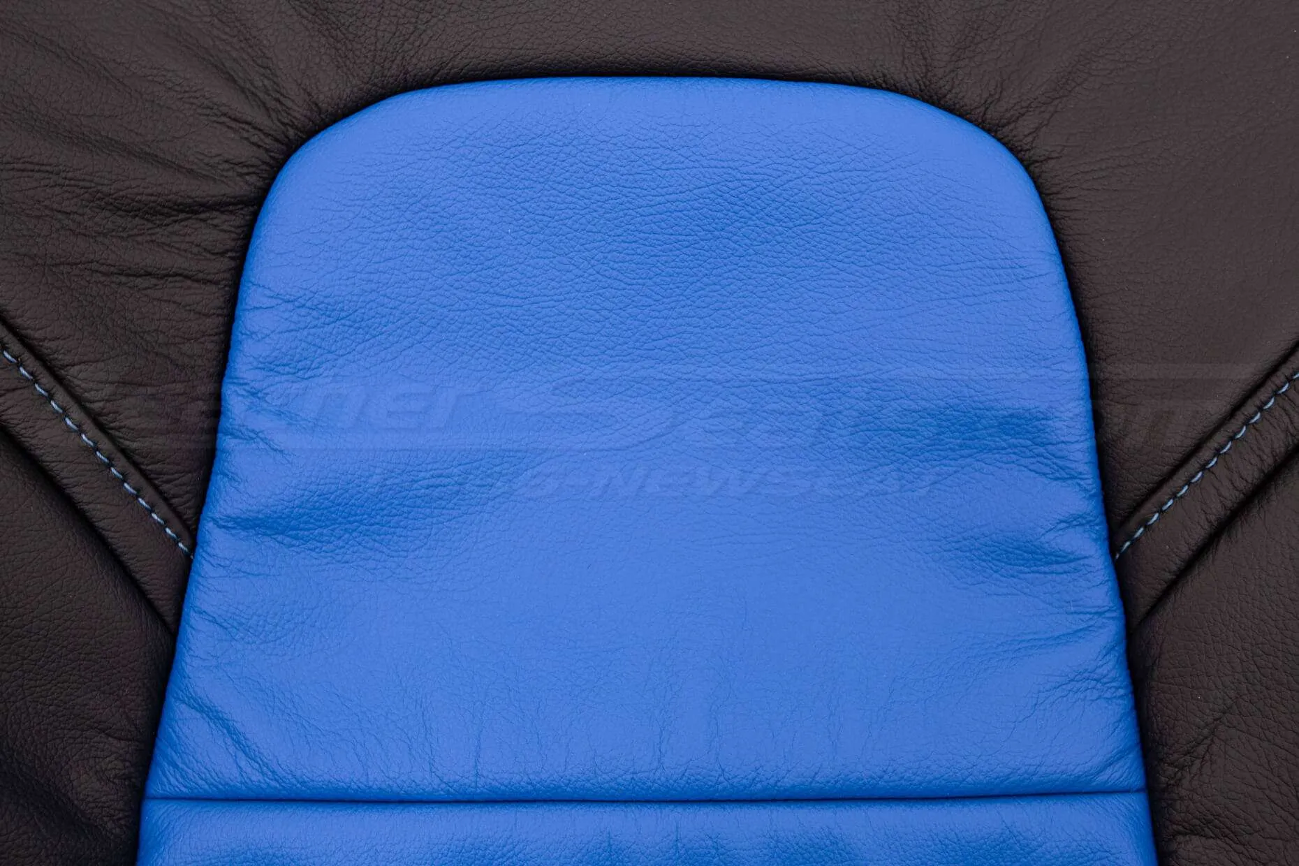 Tesla Model 3 Leather Seats - Black & Cobalt - Backrest insert close-up