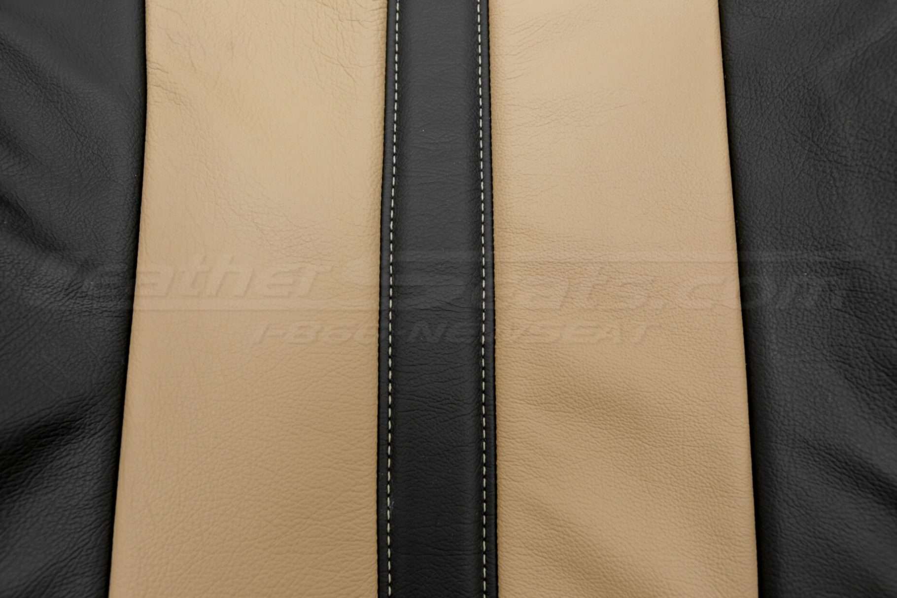 Ford F-150 Upholstery Kit - Black & Bisque - Backrest insert close-up