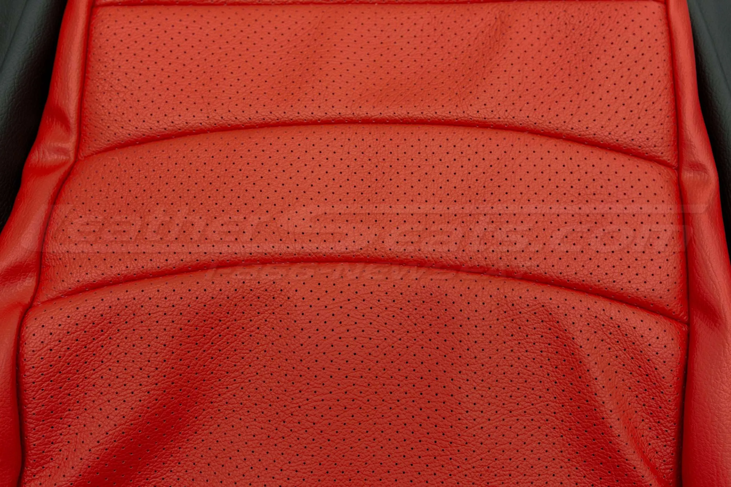 Honda S2000 Seat Upholstery - Black & Bright Red - Backrest perforation
