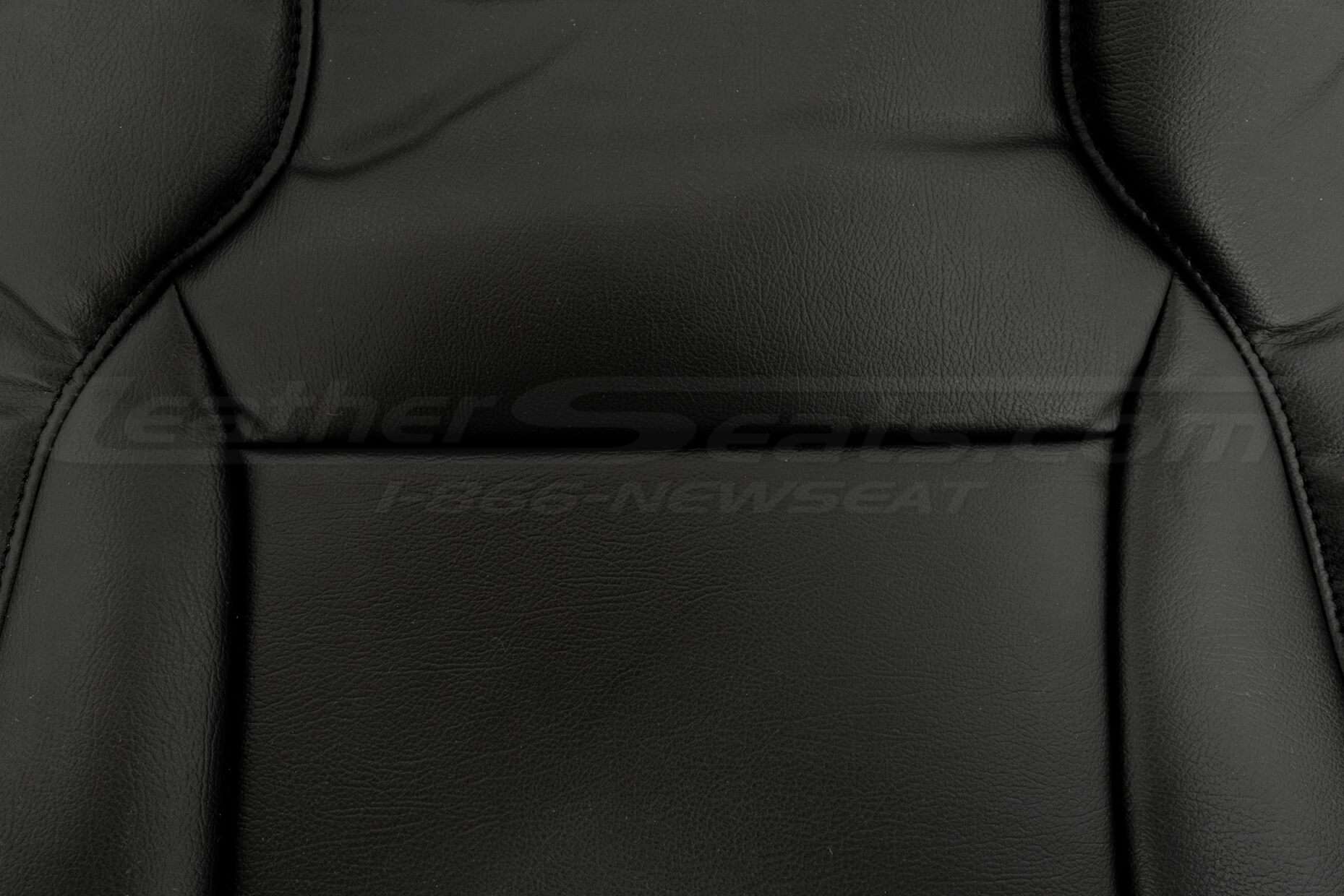 Ford Taurus Leather Upholstery Kit - Black - Backrest insert close-up