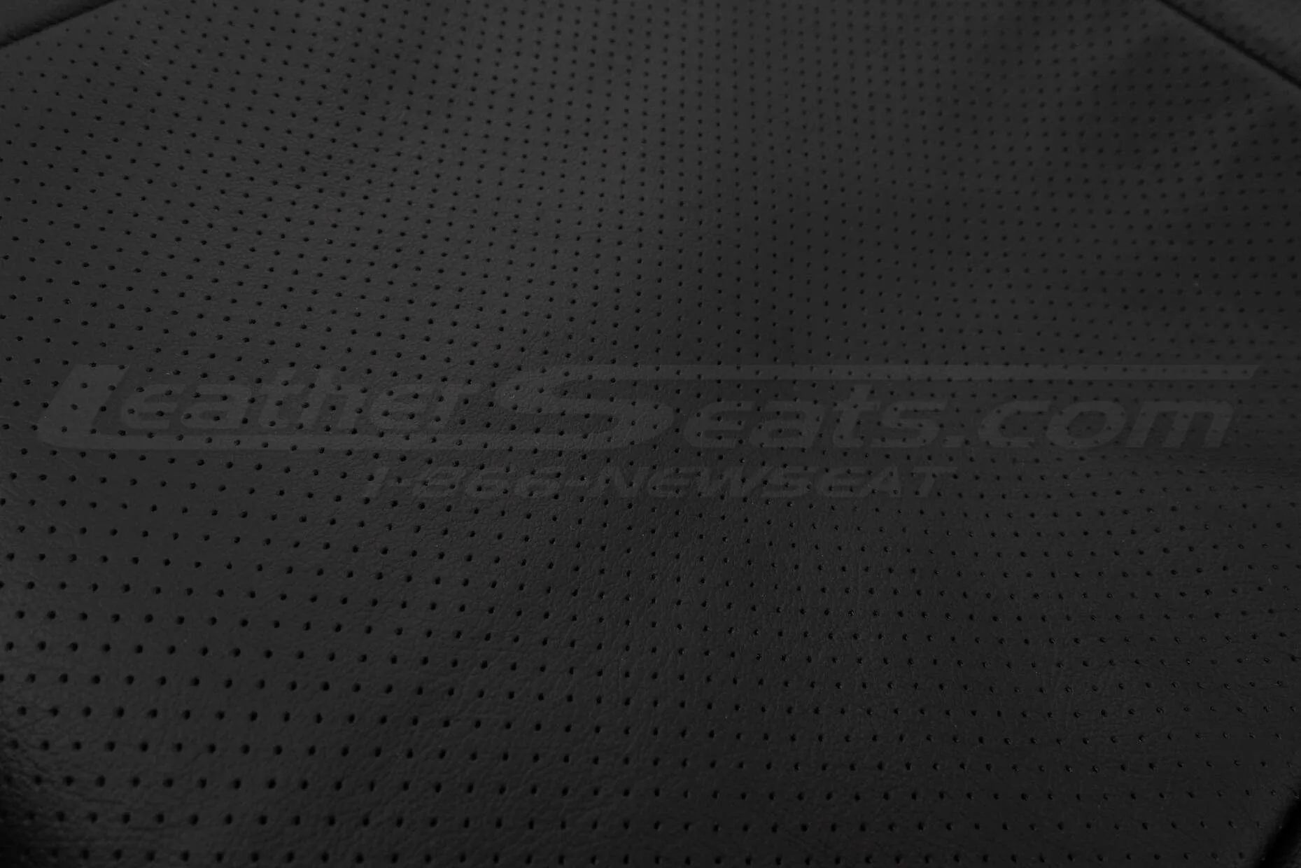 04-06 Pontiac GTO Leather Kit - Ecstasy Black - Perforation close-up