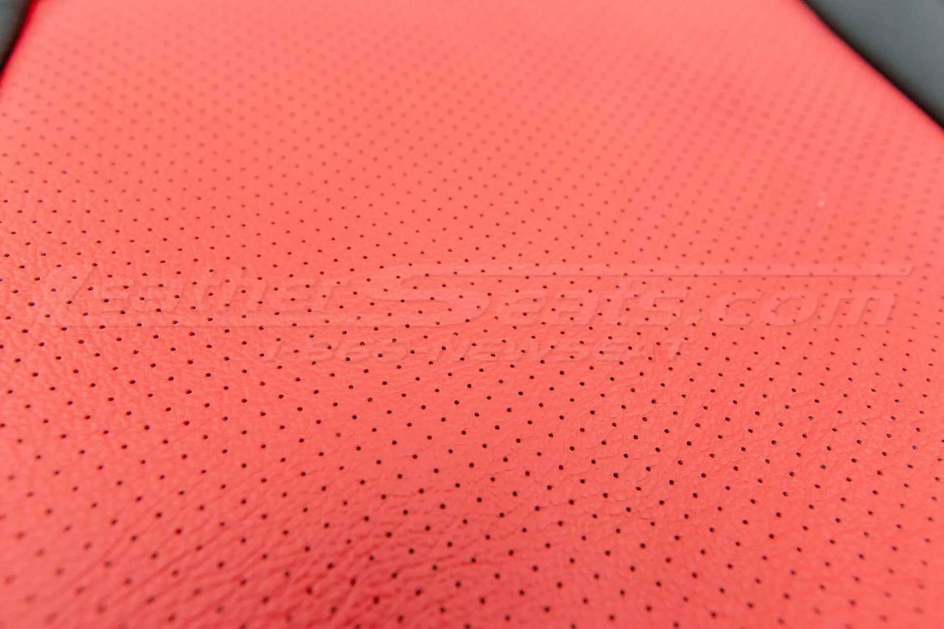 Bright Red Perforation close-up