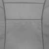 insert section of backrest