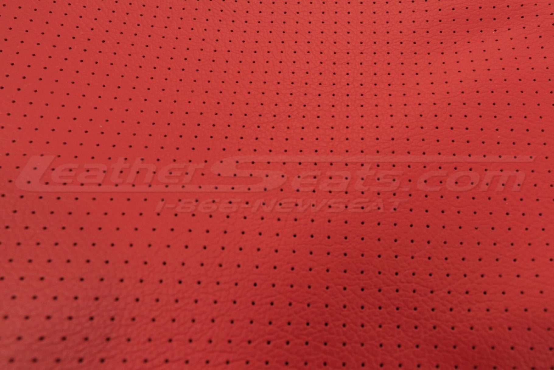 Perforation close-up