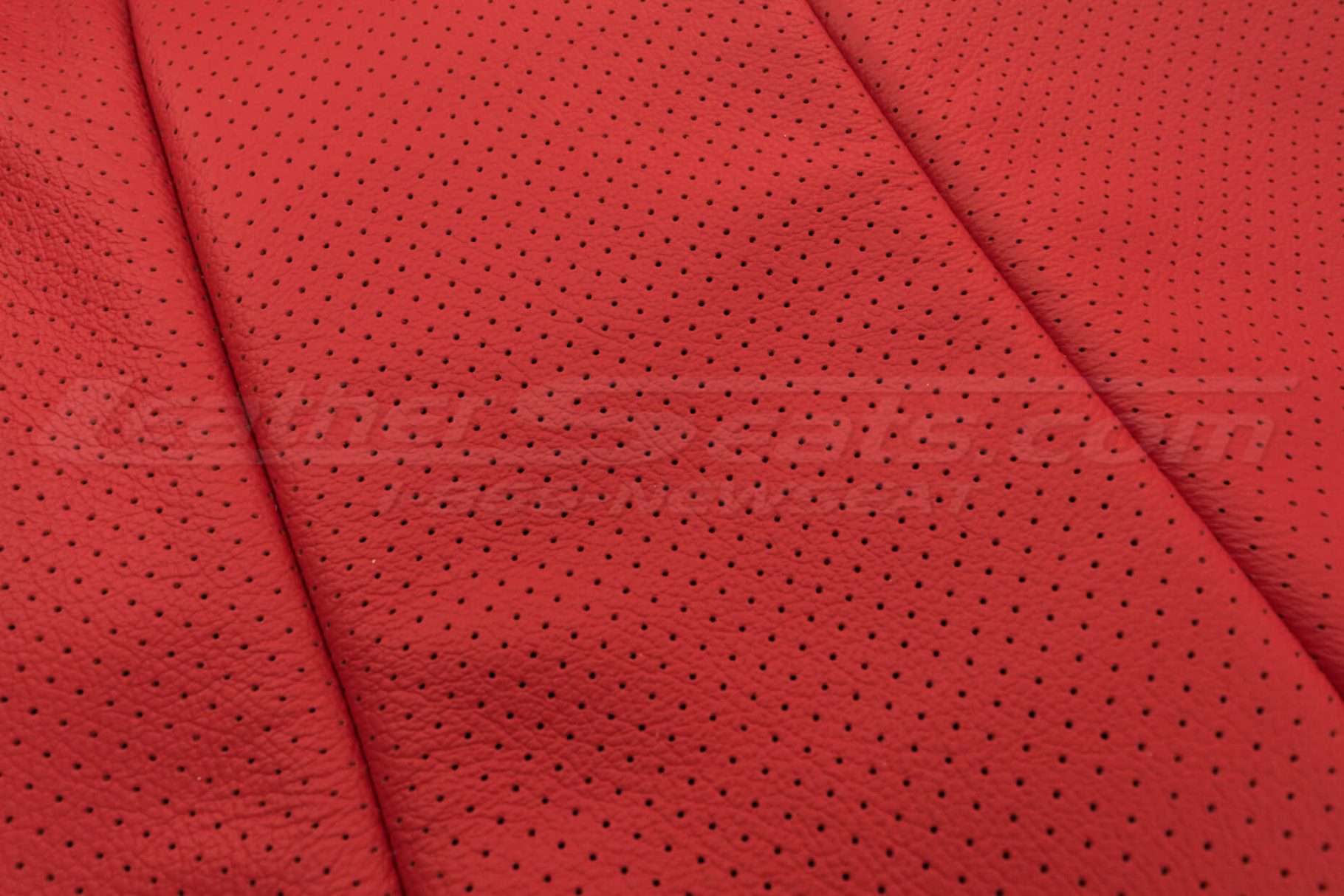 Perforation Close-Up