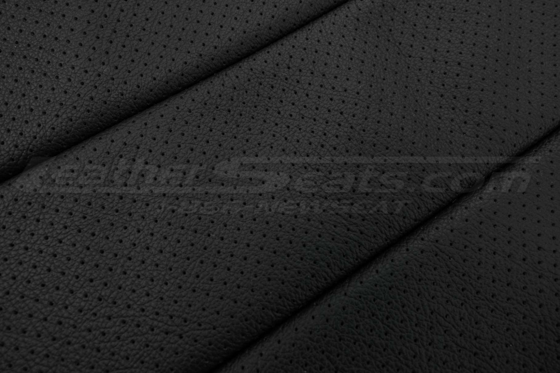 Black Perforation close-up