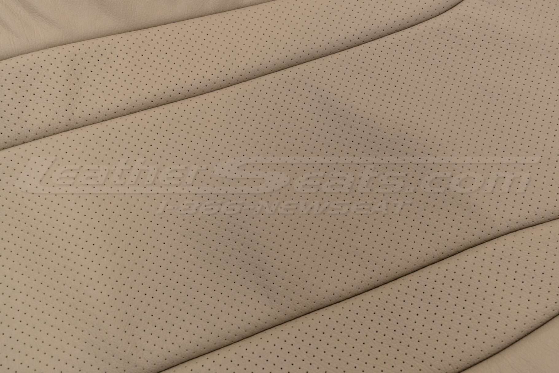 Perforated insert close-up