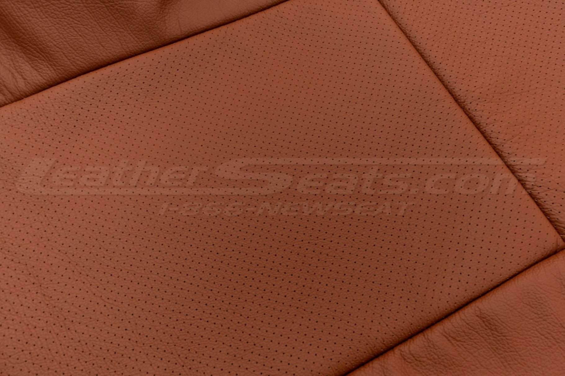 Mitt Brown Body Perforation