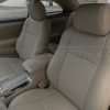 Front driver's seat backrest cushion & headrest