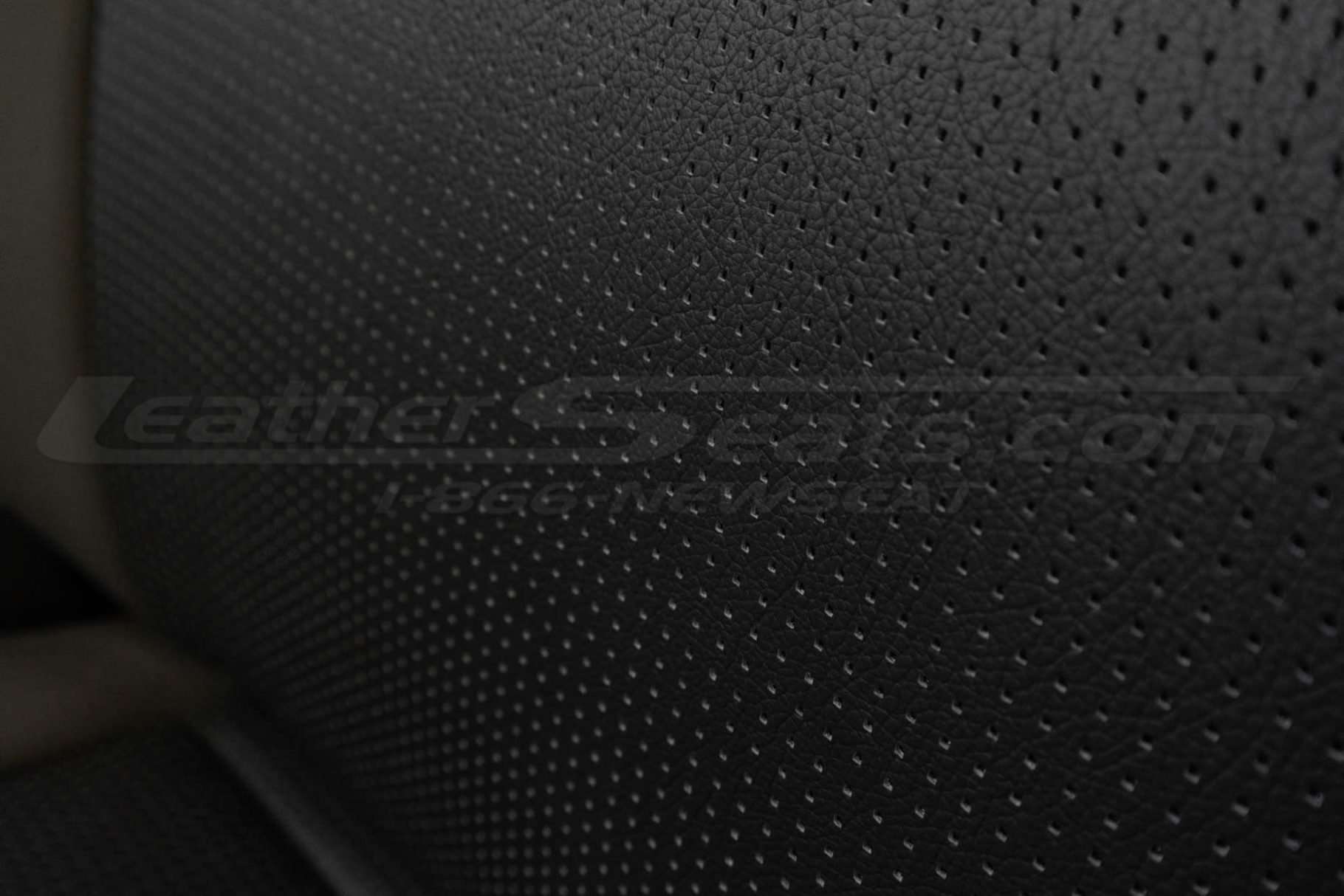 Piazza Perforation close-up