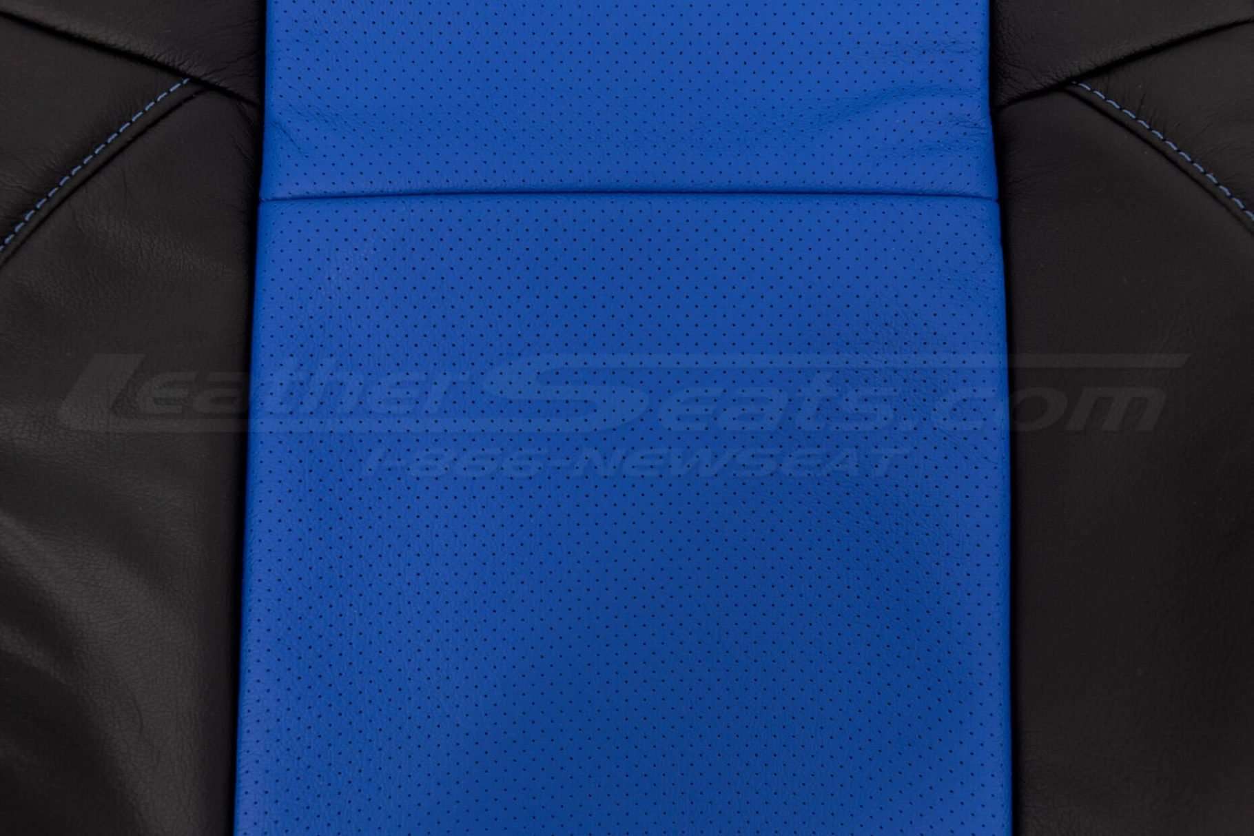 Perforated Body close-up