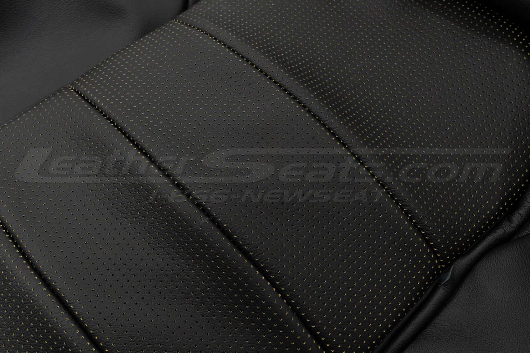 Piazza Perforation Close-up