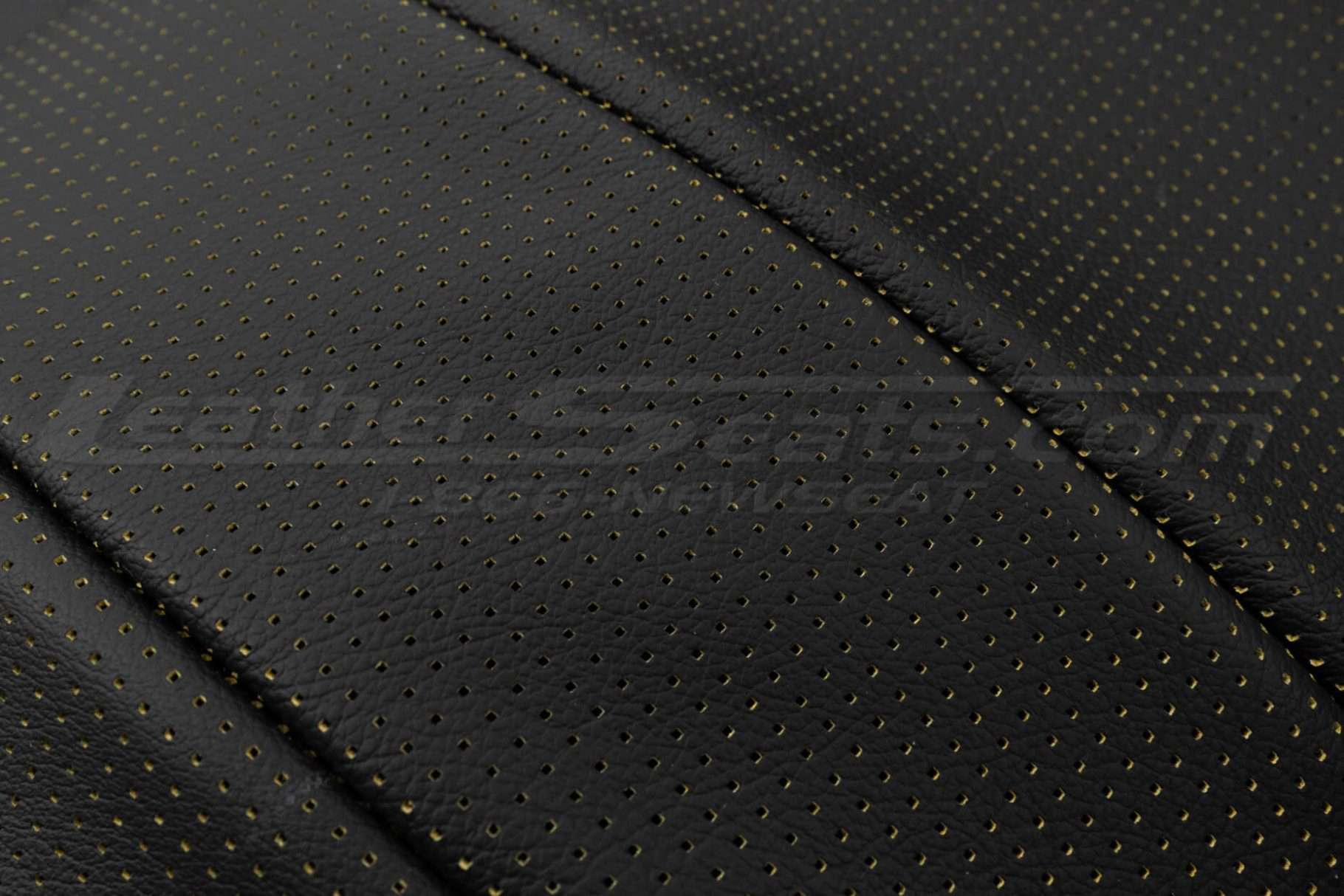 Piazza Perforation extreme close-up