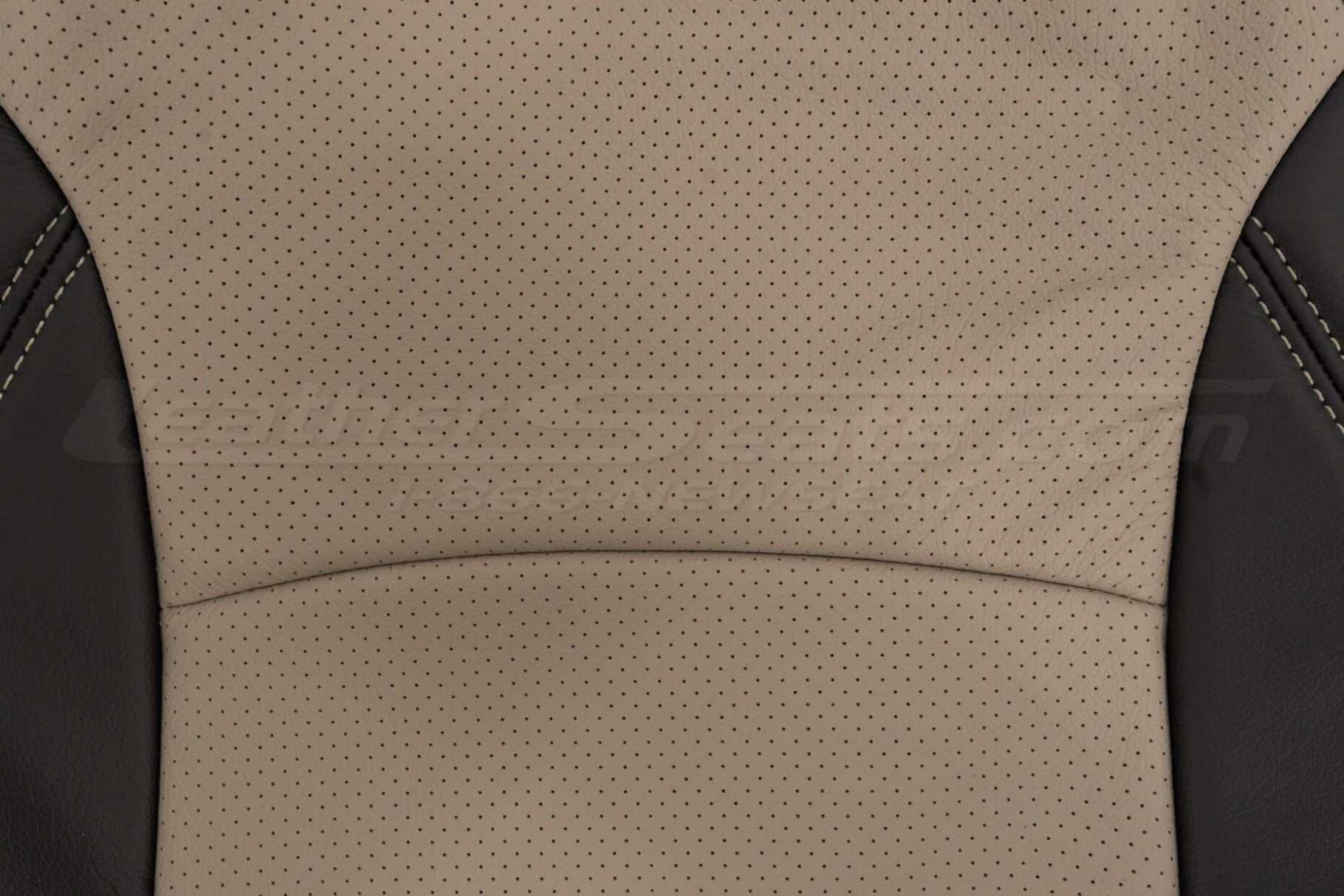 Perforated Ivory Body close-up