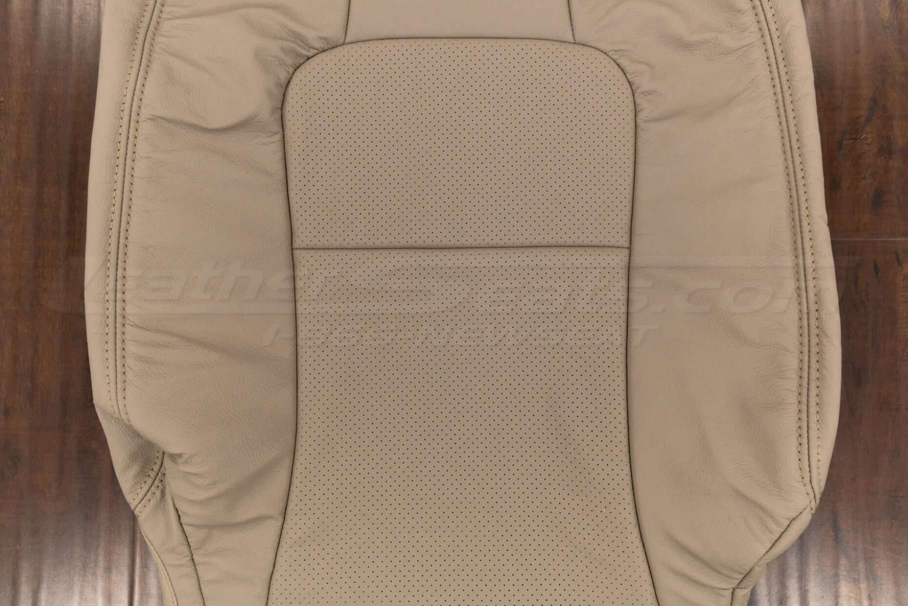 Perforated Insert section of backrest