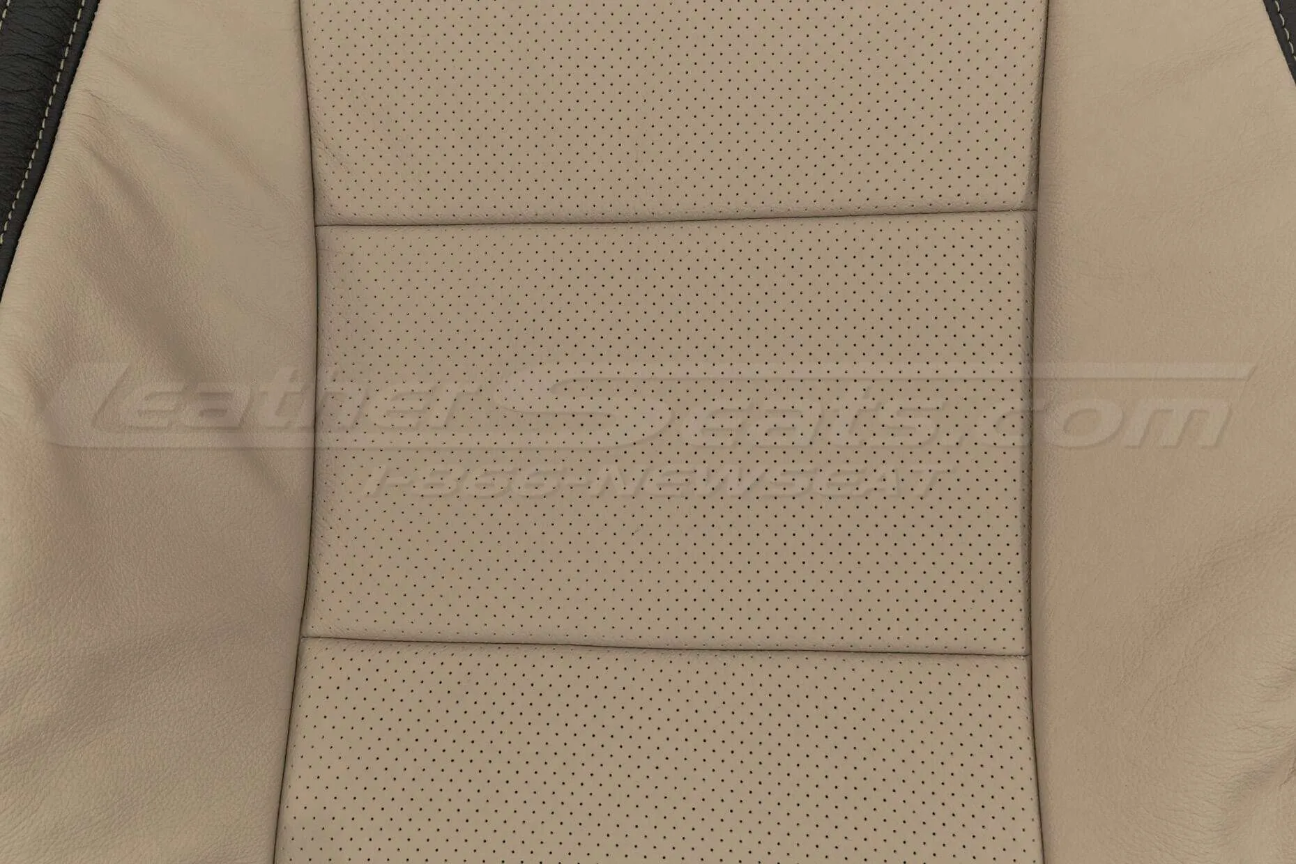Perforated Body Section of backrest