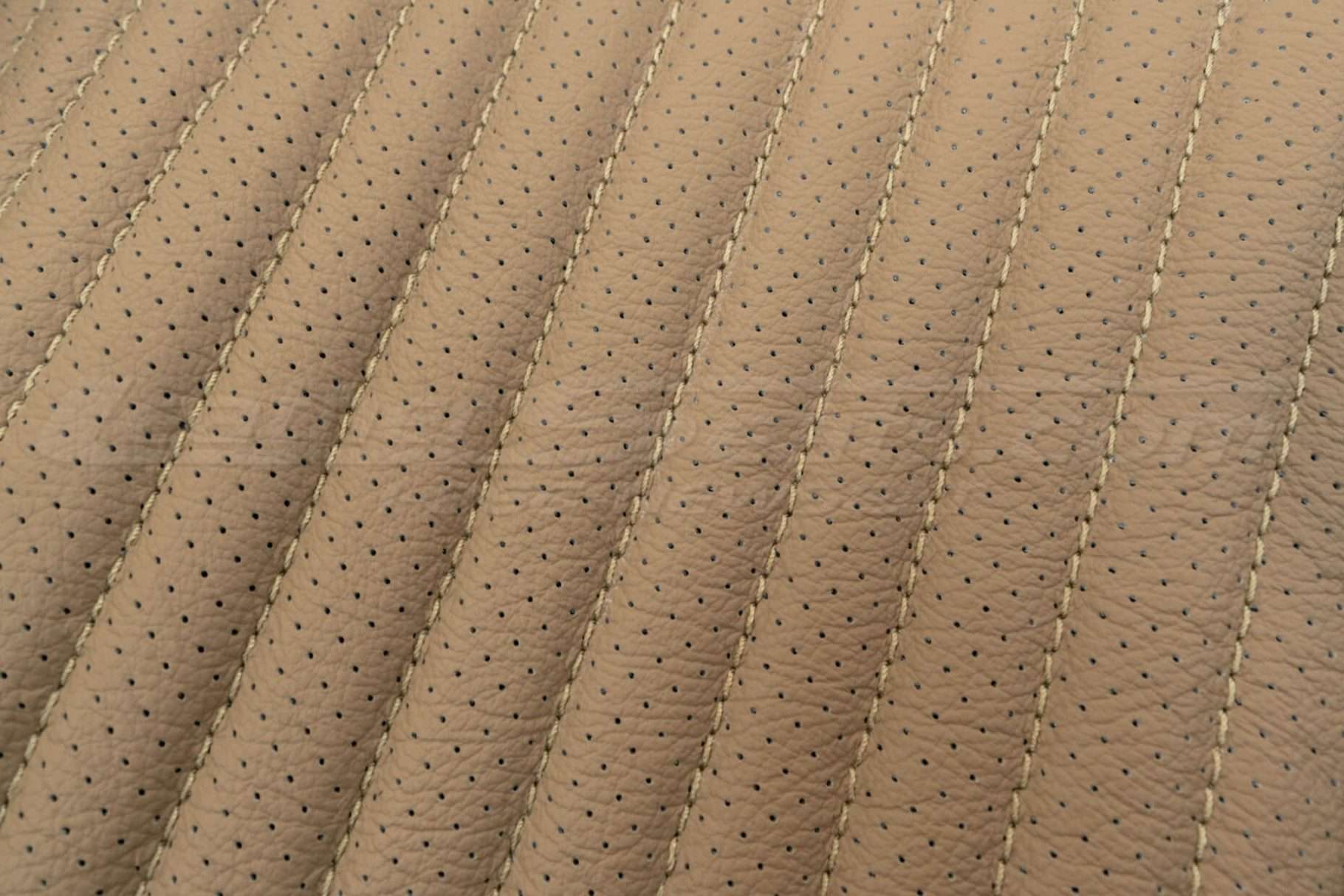 Perforation close-up