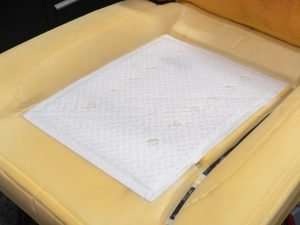 Set cushion with Carbon Fiber Heating Pad placed