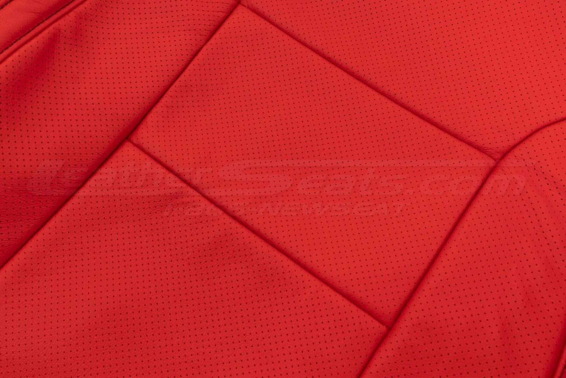 Perforated Body and Wings close-up