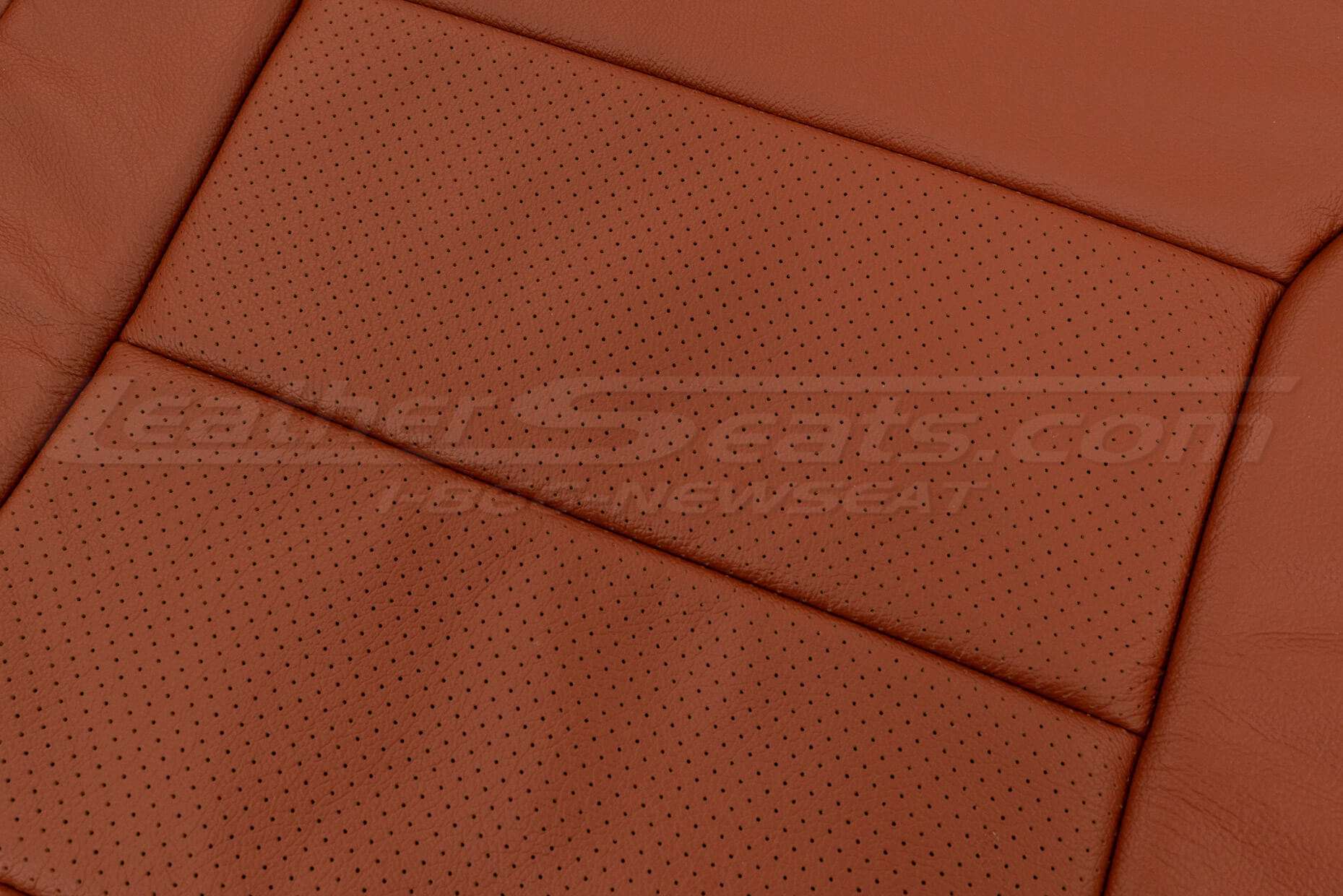 Perforated Insert close-up