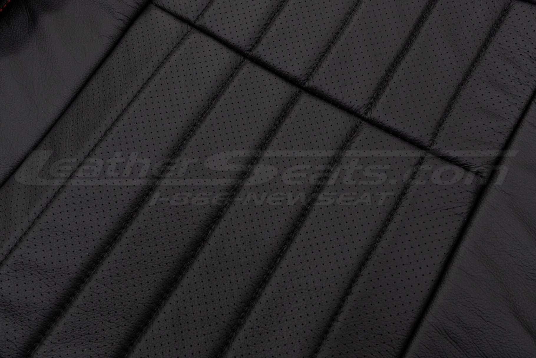 Body Perforation close-up