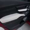 Medium range view of leather door armrests & insert