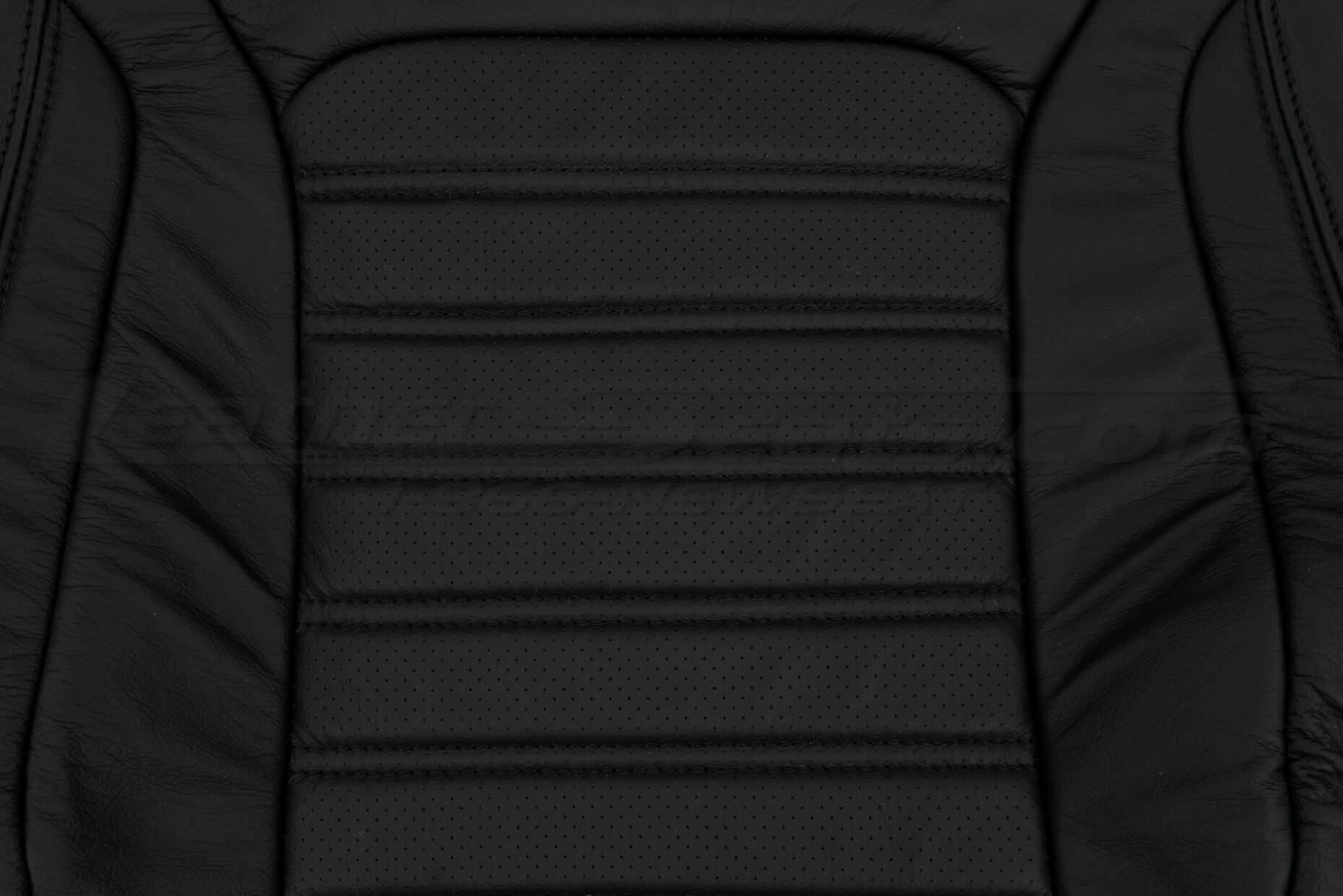 Perforated Insert section of backrest