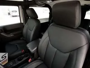 Driver side headrest and backrest close-up