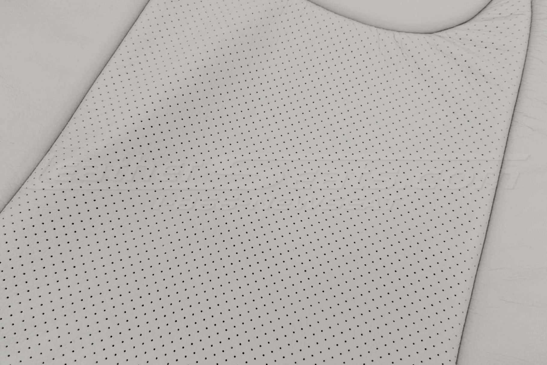 Body Perforation close-up