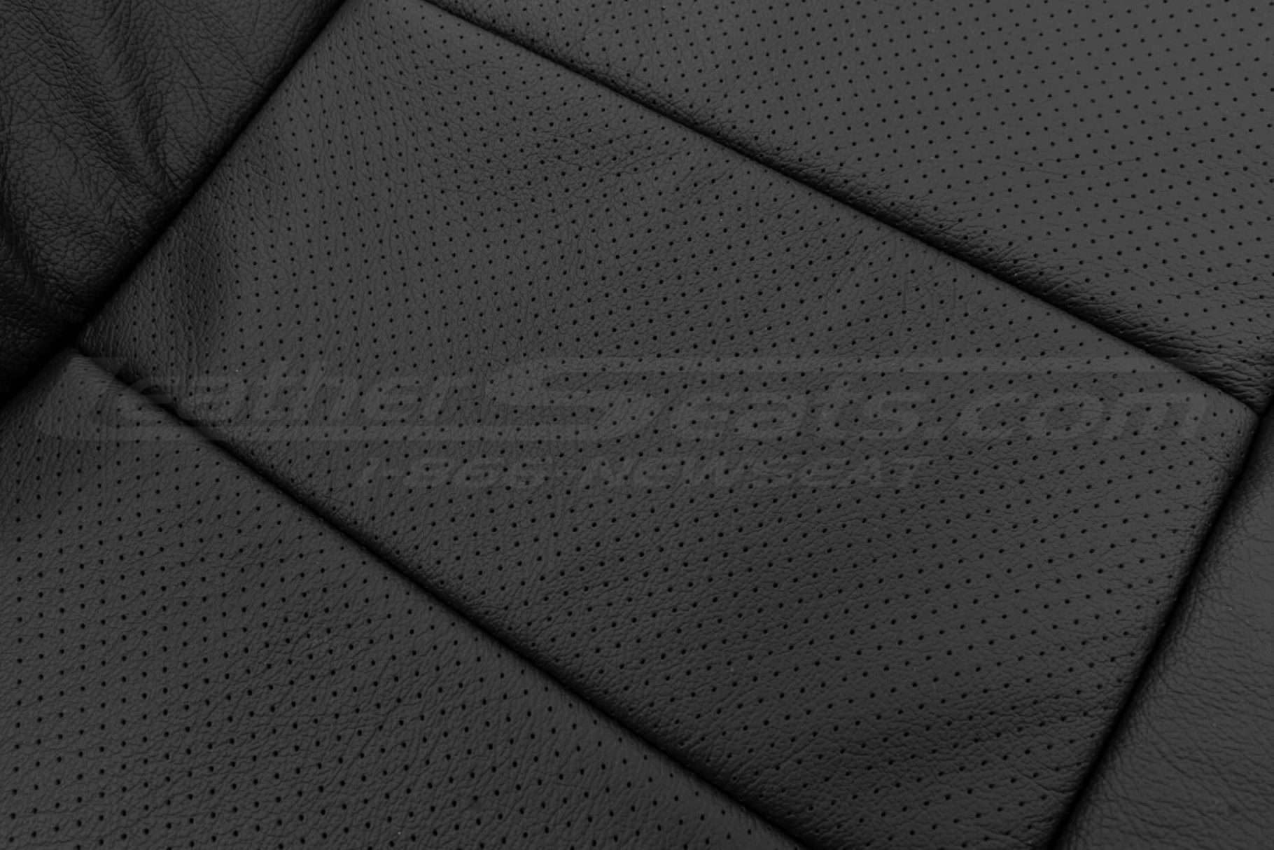 Perforated Body sectioi close-up