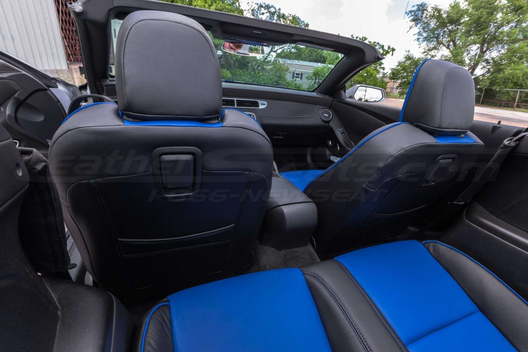 Back view of front row leather seats