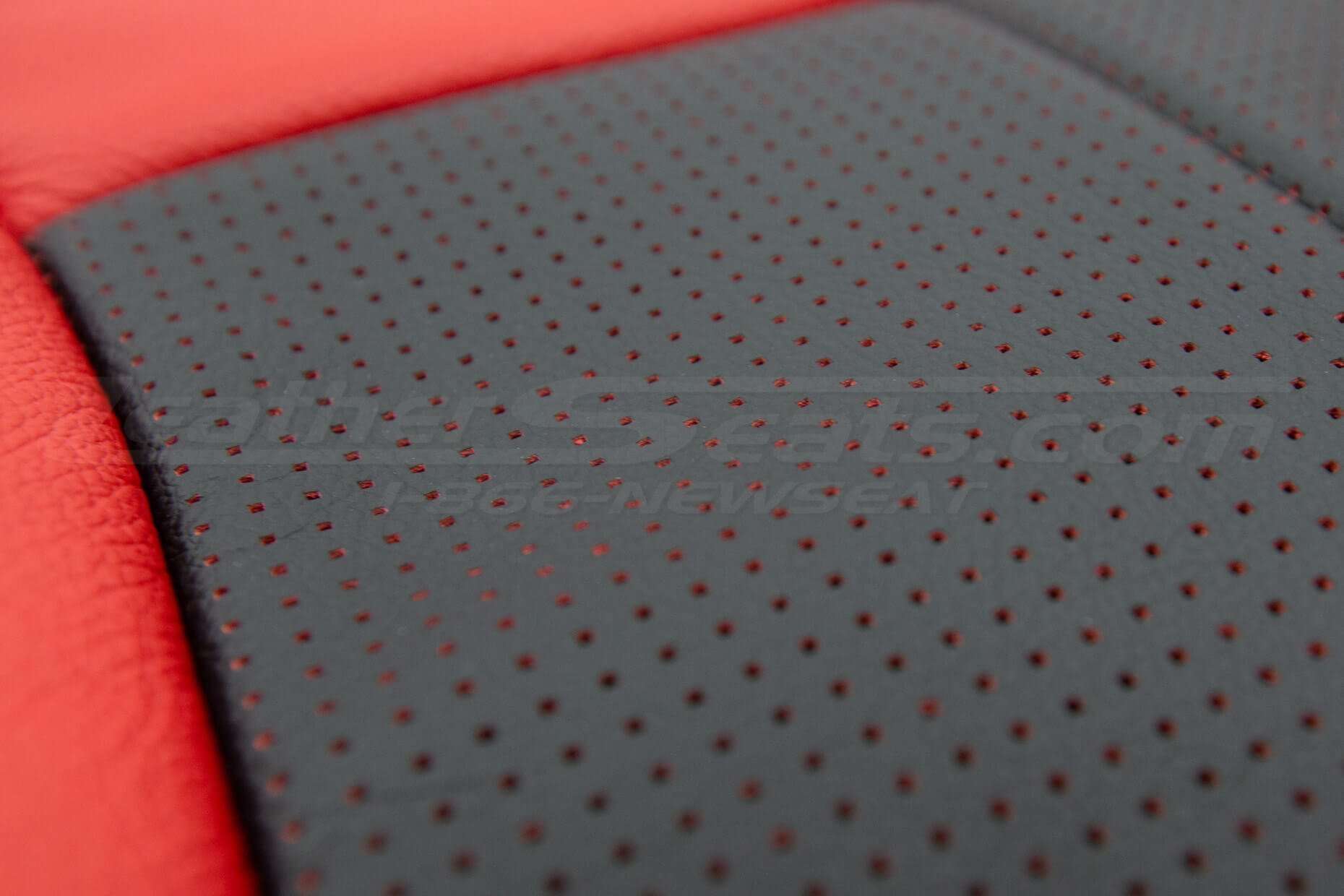Extreme close-up of ppiazza perforation / Colored Perforation