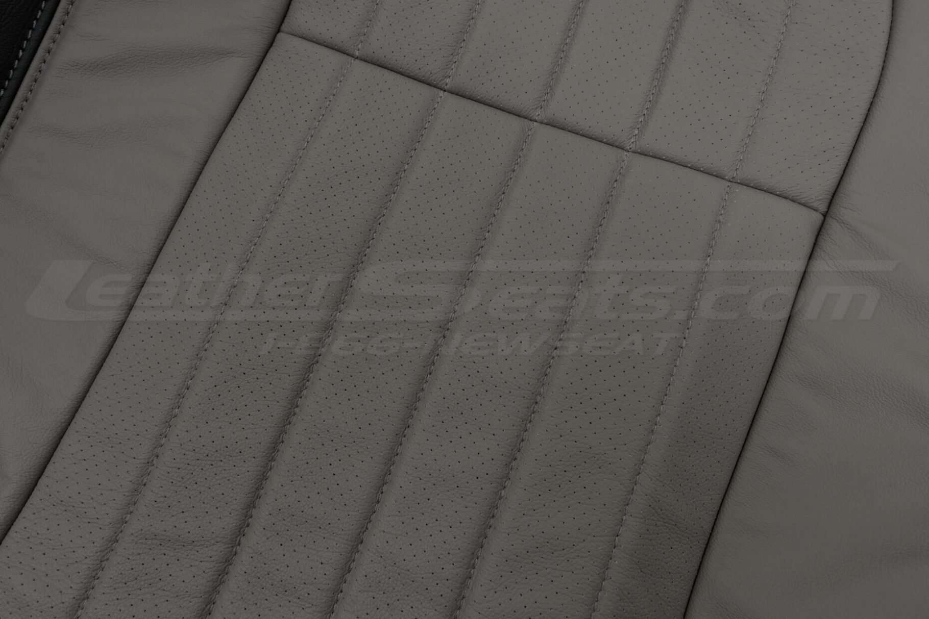 Perforated Body and Leather Texture