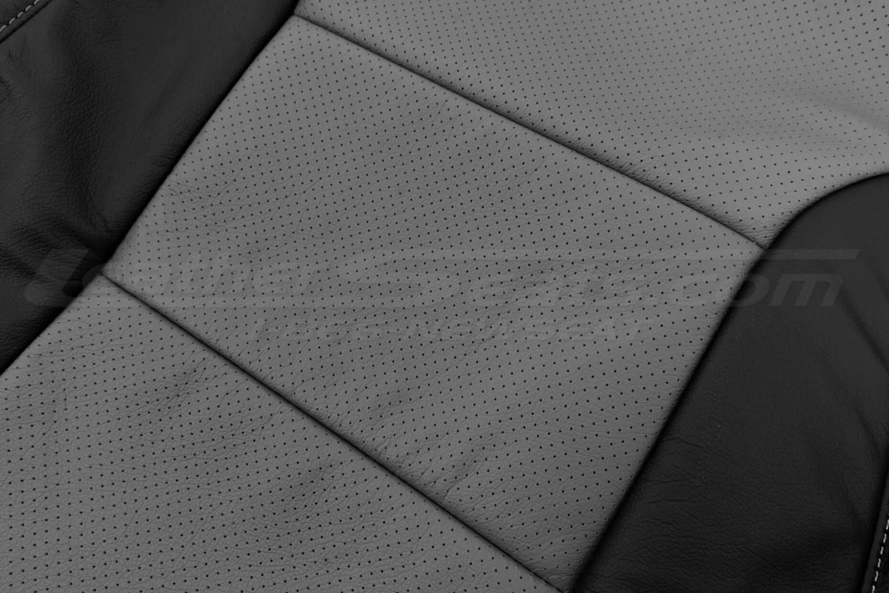 Perforated Body close/up