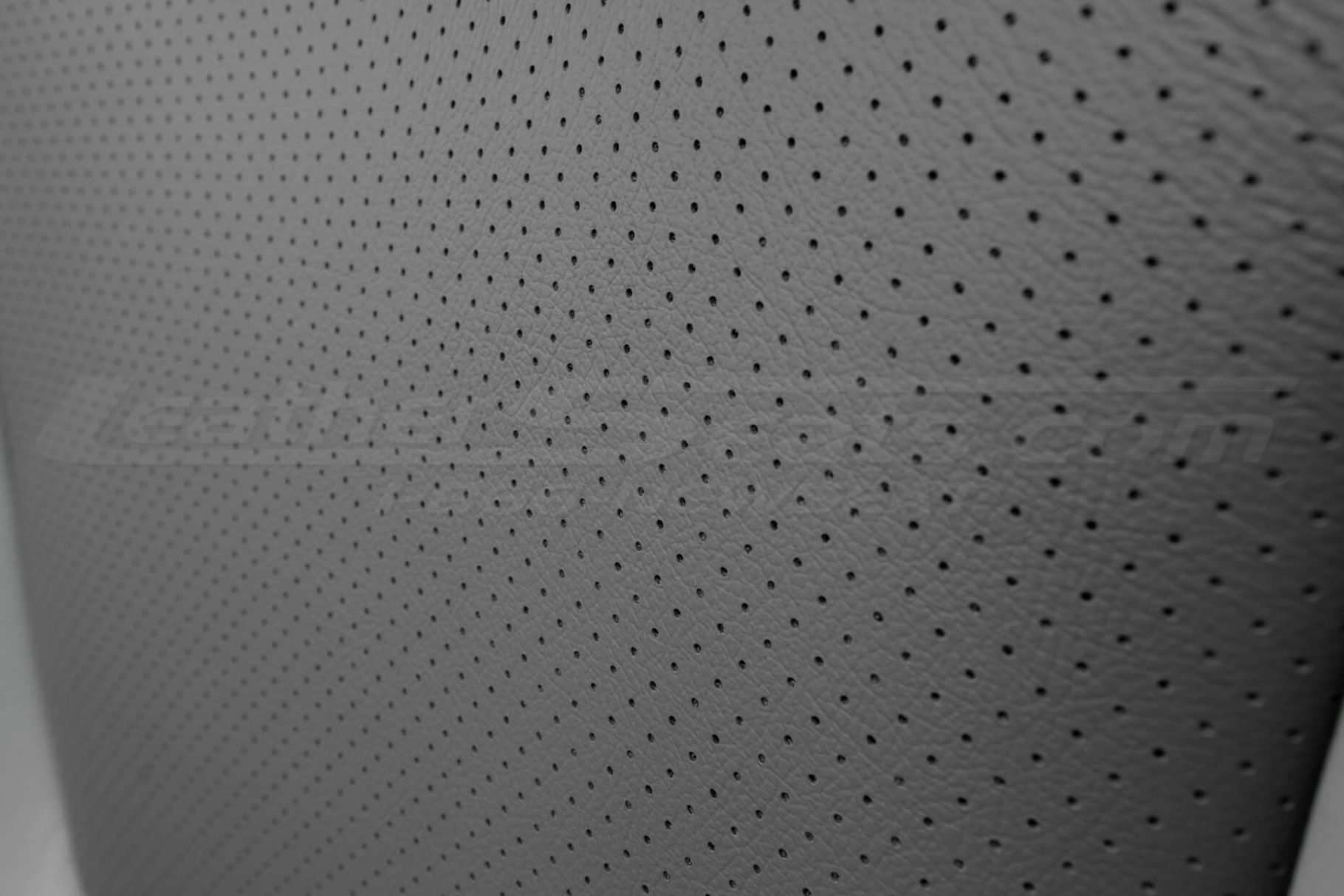 Perforated Body close-up