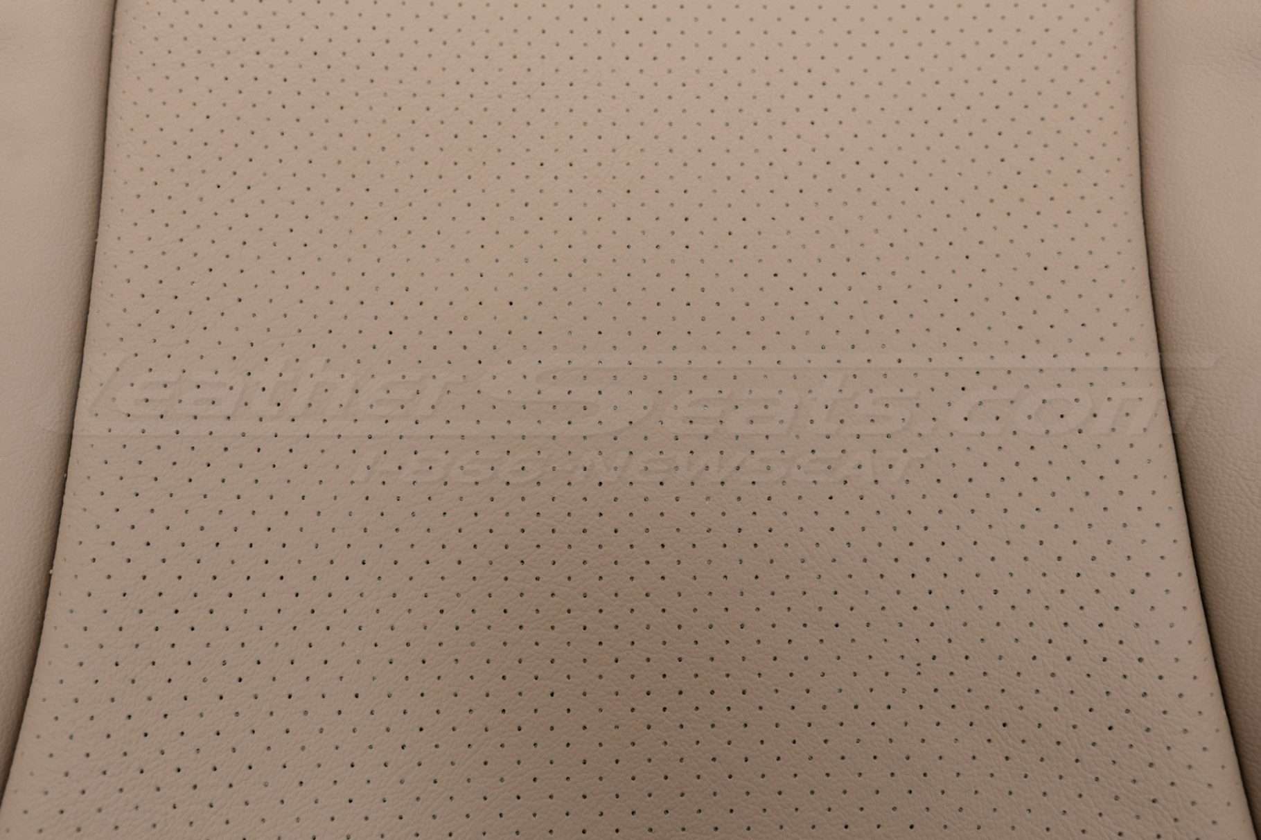 Perforated leather backrest close-up