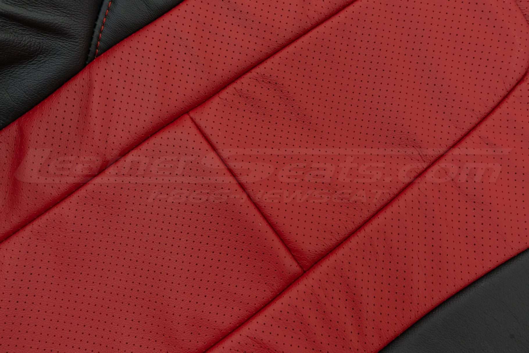 Perforated Body close-up