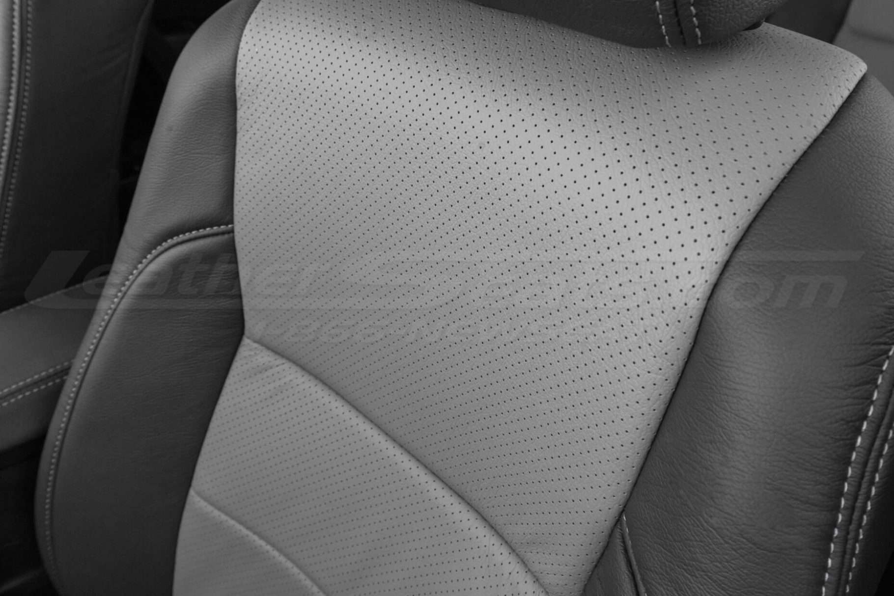 Perforated Body close-up