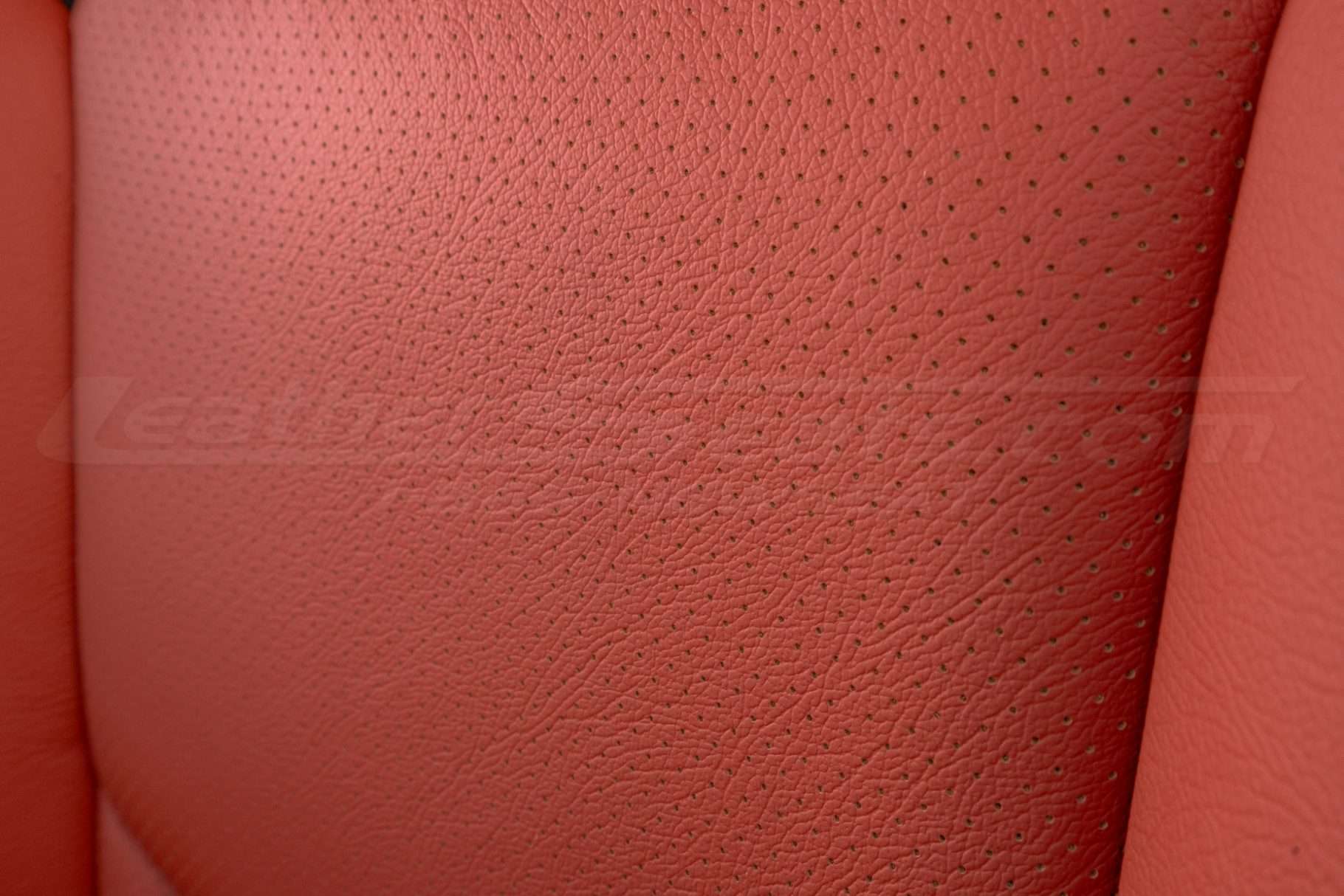 Tangerine Insert perforation close-up
