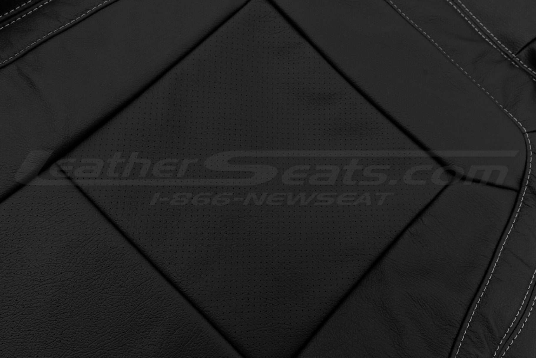 Perforated Insert close-up / leather texture
