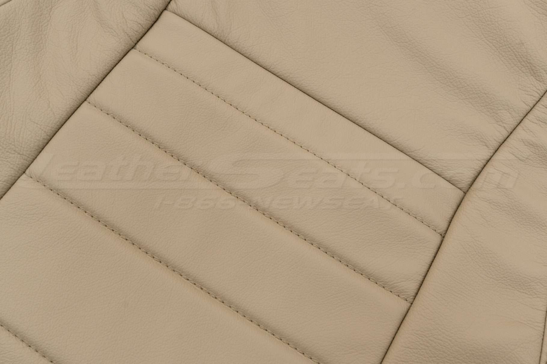 Parchment leather texture close-ups