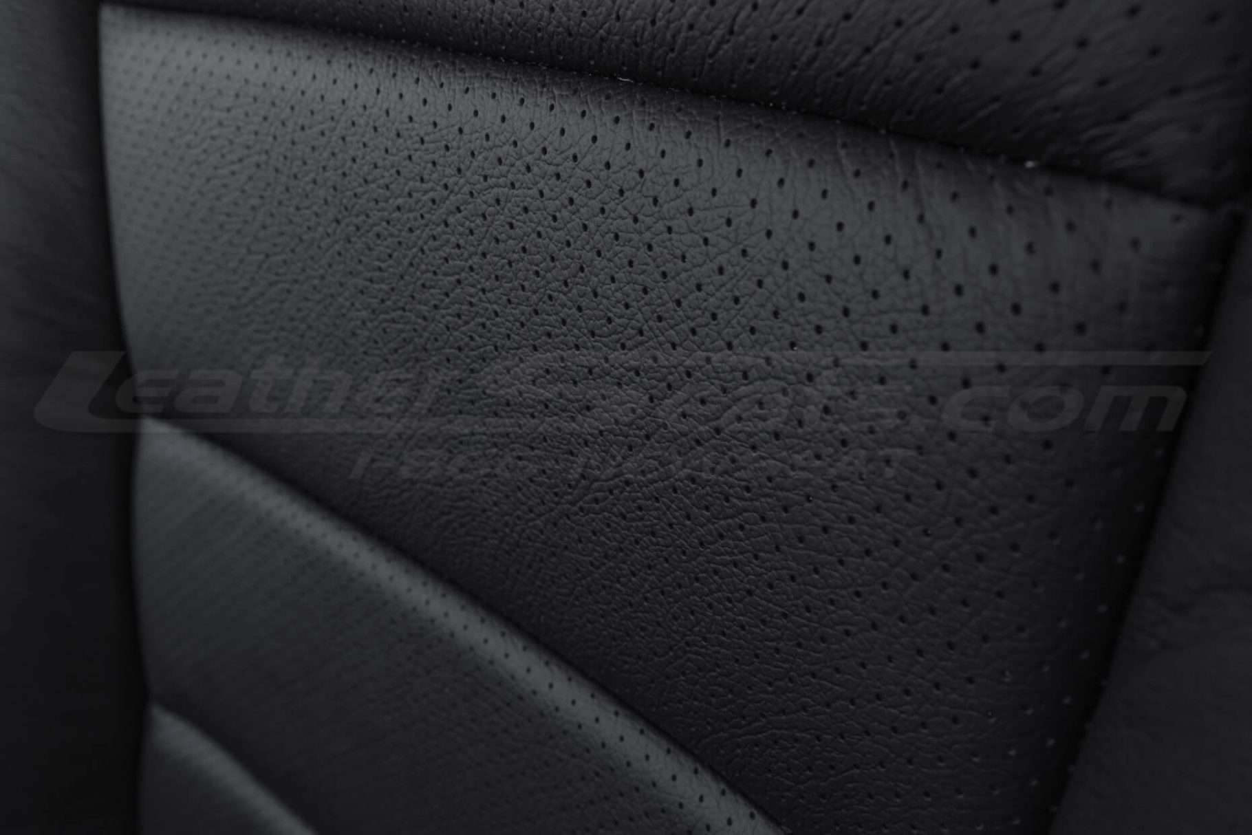 Perforated Body close-up