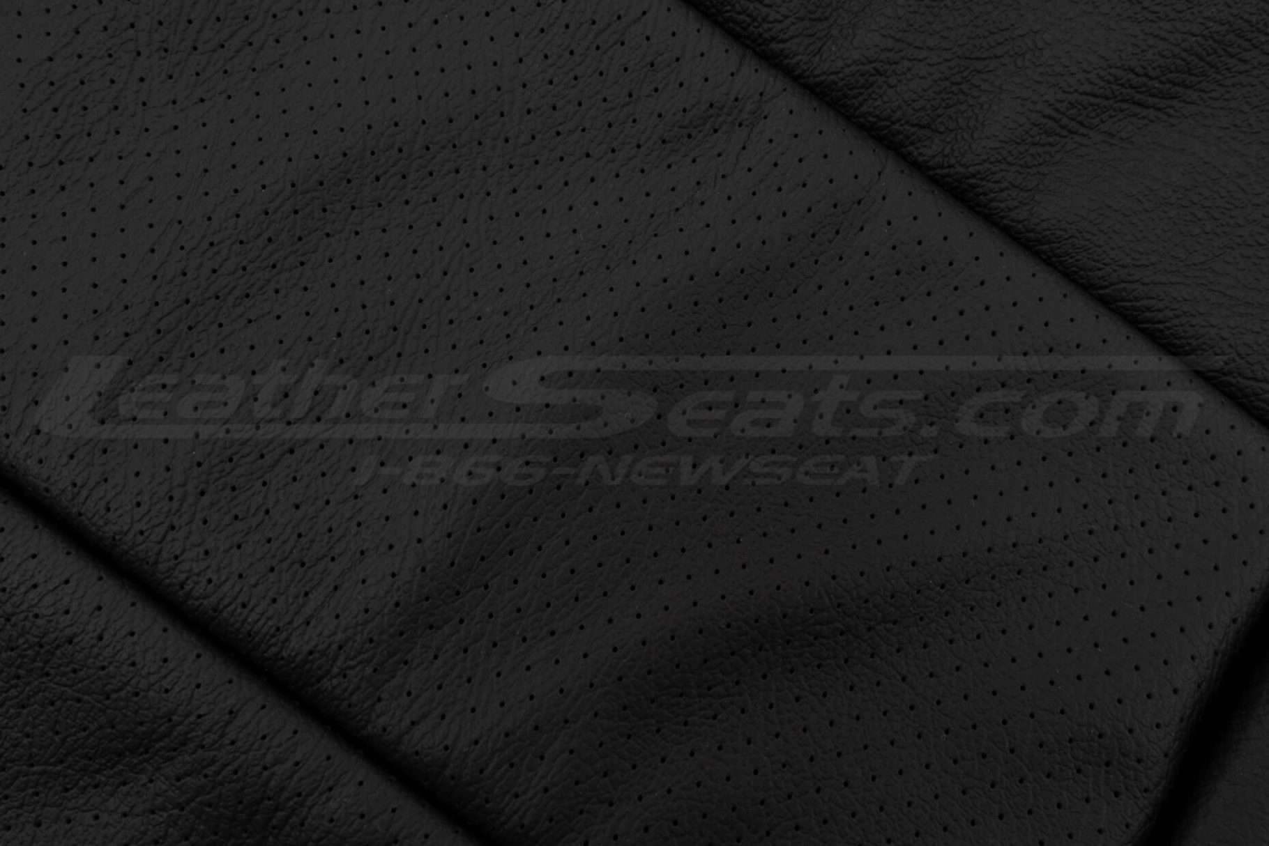 Leather perforation close-up