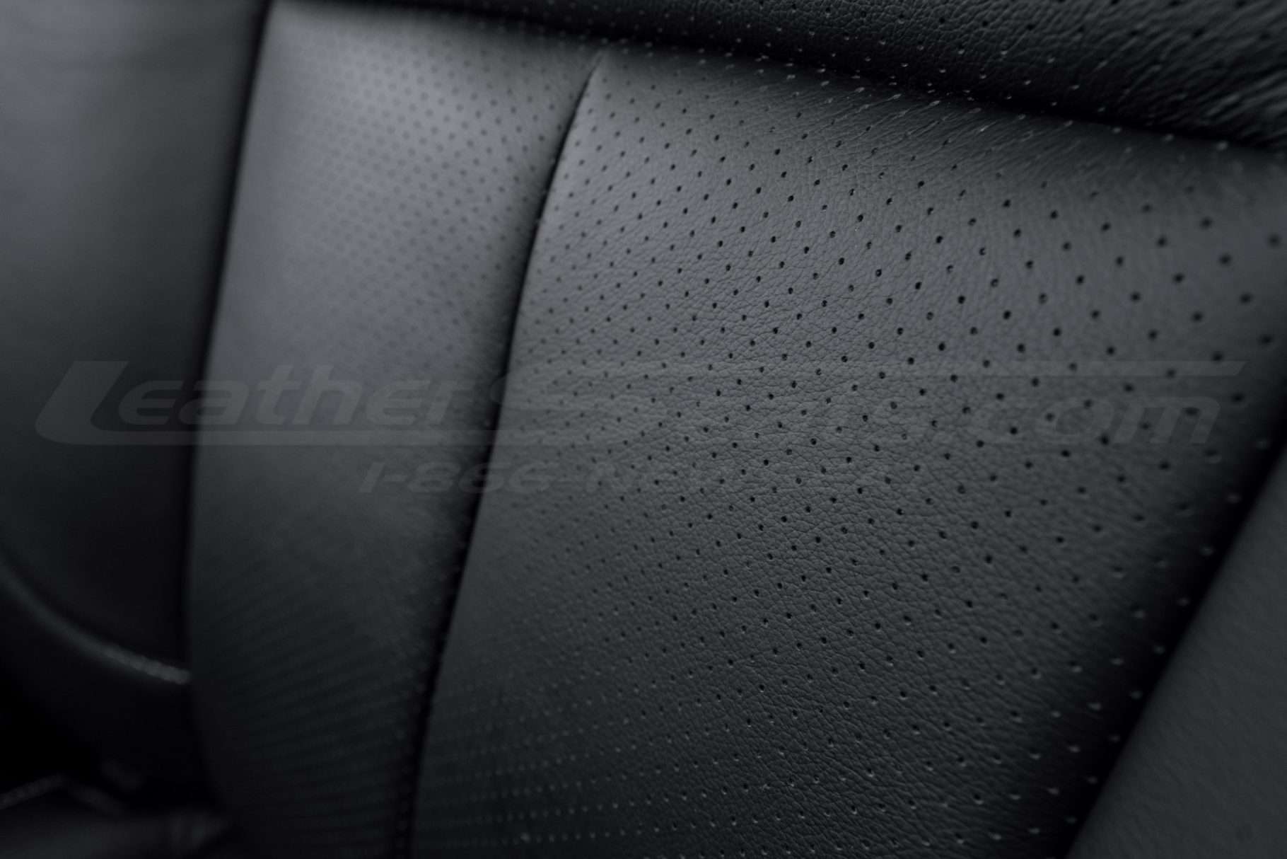 Perforated Body close-up