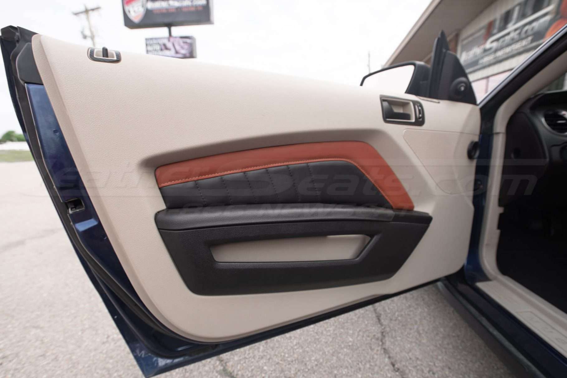 5th Generation Ford Mustang Leather Door insert panels