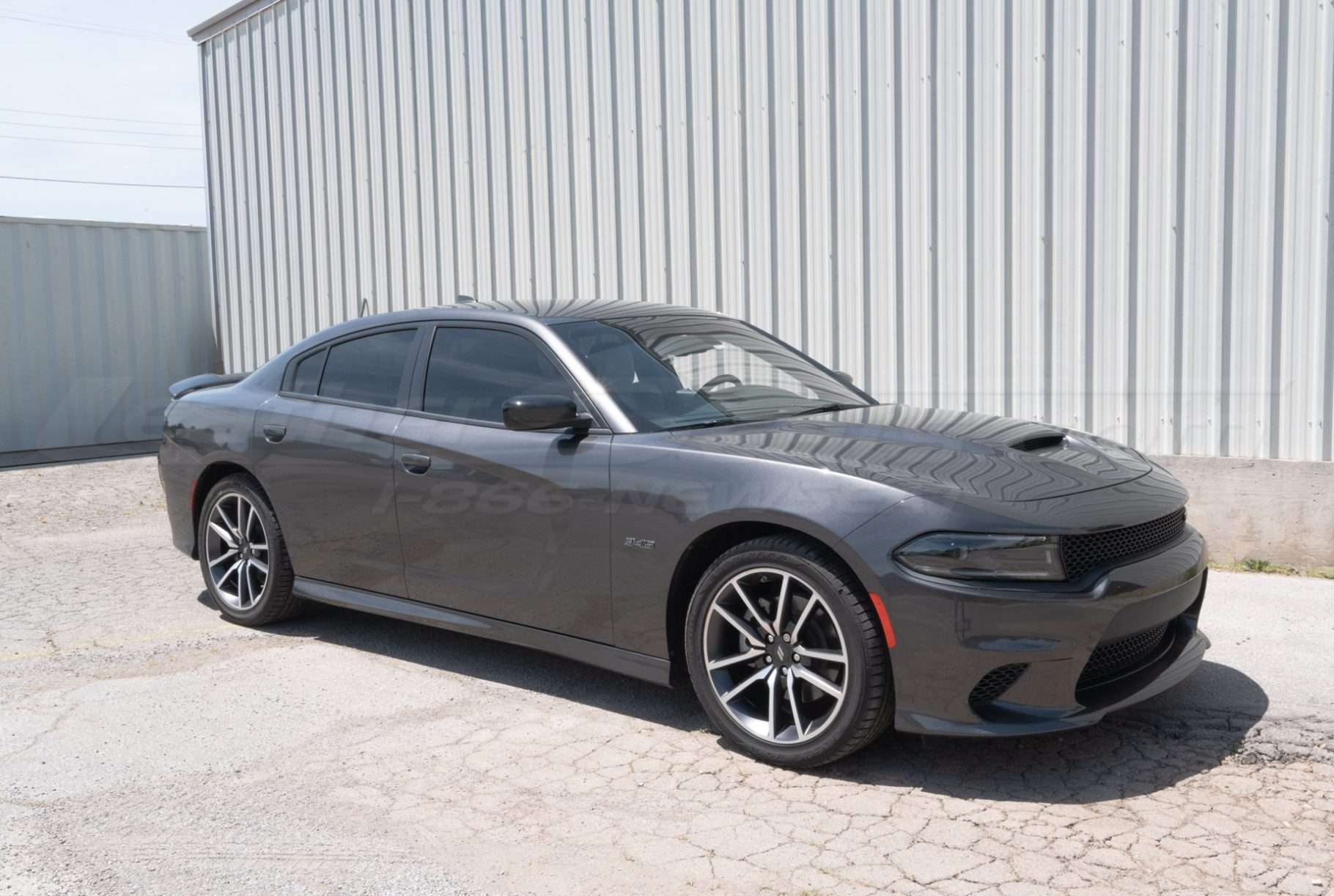 2023 Dodge Charger with Grey exterior