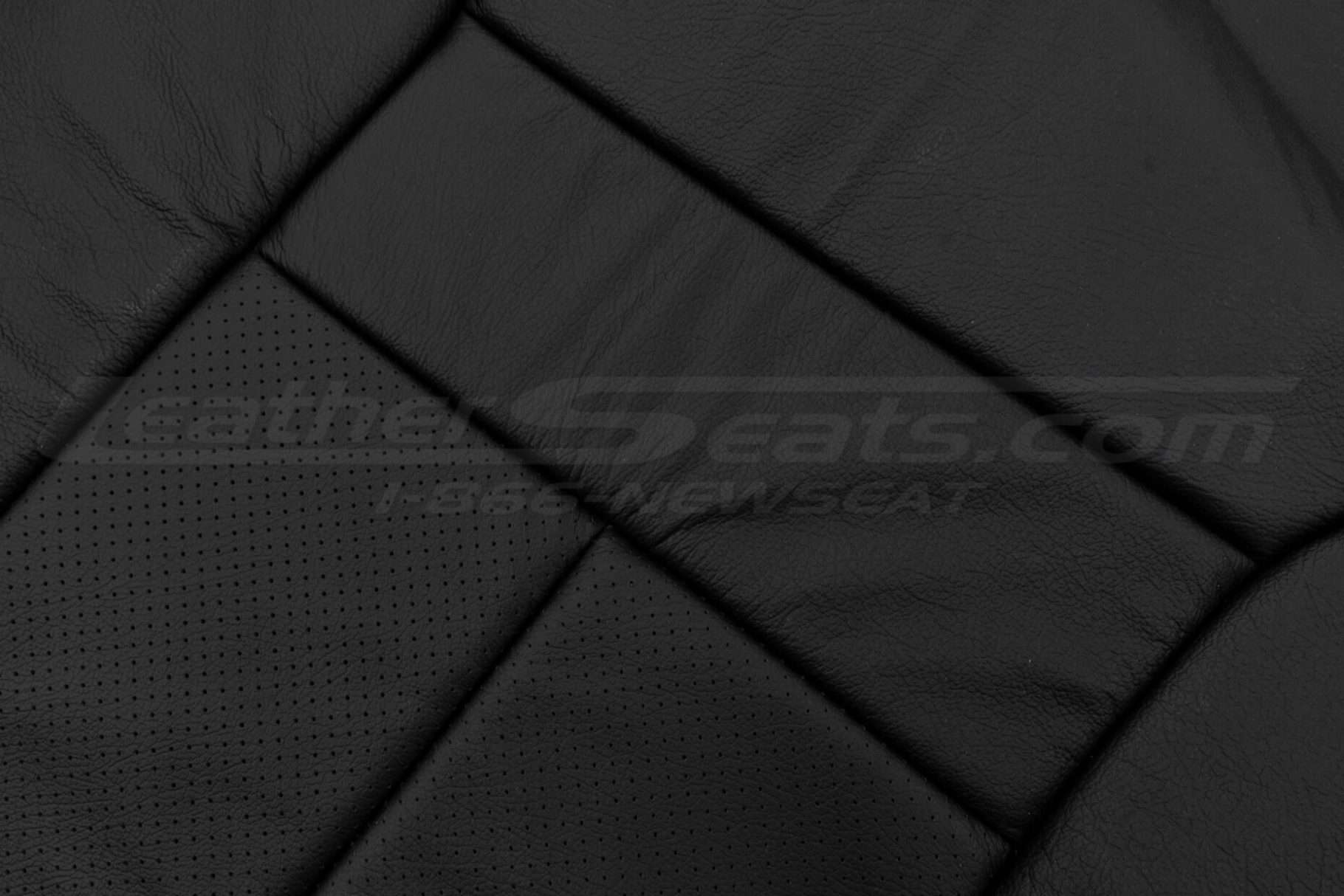 Perforated Insert and standard leather texture close-up