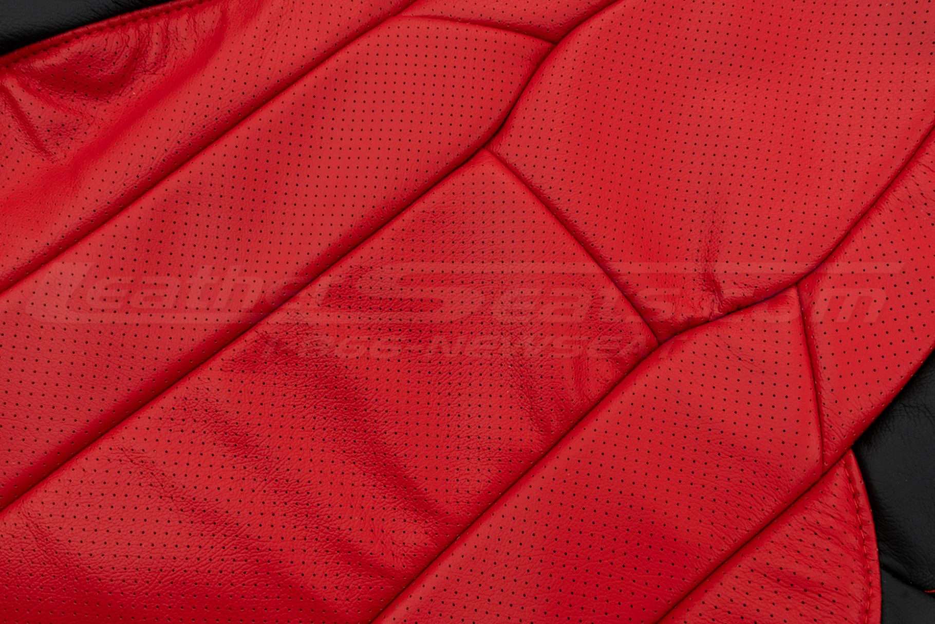 Perforated Bright Red Body and Wings close-up